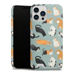 Premium Card Case matt