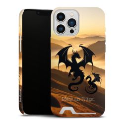 Premium Card Case matt