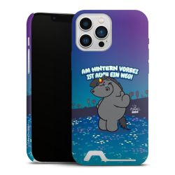 Premium Card Case matt