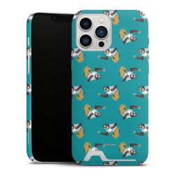 Premium Card Case matt