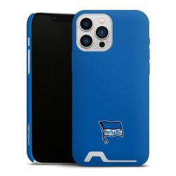 Premium Card Case matt