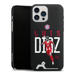 Premium Card Case matt