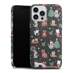 Premium Card Case matt