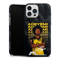 Premium Card Case matt