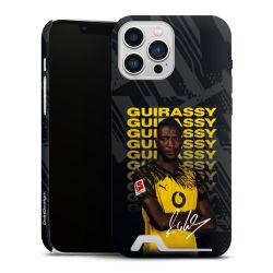 Premium Card Case matt