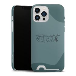 Premium Card Case matt