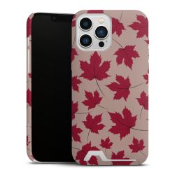 Premium Card Case matt