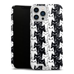 Premium Card Case matt