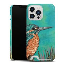 Eisvogel