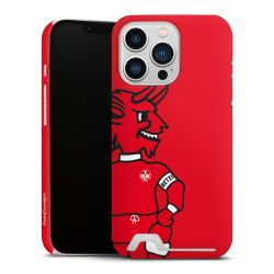 Premium Card Case matt