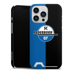 Premium Card Case matt