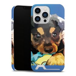 Premium Card Case matt