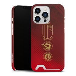 Premium Card Case matt