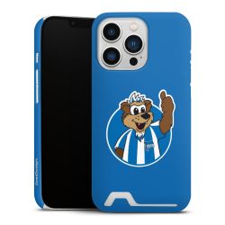 Premium Card Case matt