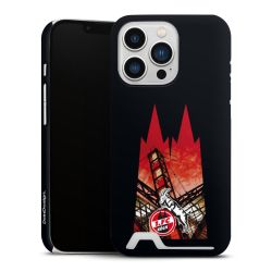 Premium Card Case matt