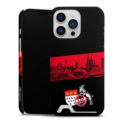 Premium Card Case matt