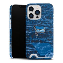 Premium Card Case matt