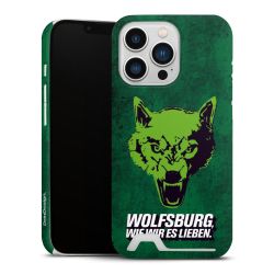 Premium Card Case matt