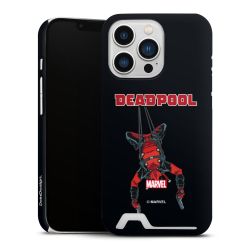 Premium Card Case matt