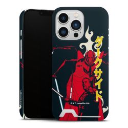 Premium Card Case matt