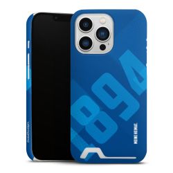 Premium Card Case matt