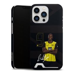 Premium Card Case matt