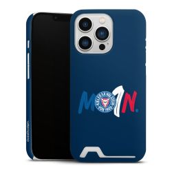 Premium Card Case matt