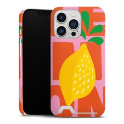 Premium Card Case matt