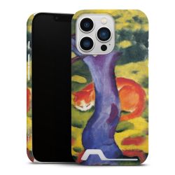 Premium Card Case matt