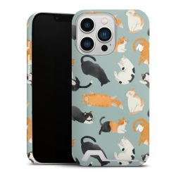 Premium Card Case matt