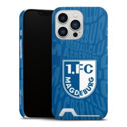 Premium Card Case matt