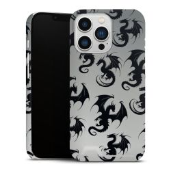 Premium Card Case matt