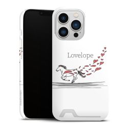 Premium Card Case matt