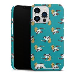 Premium Card Case matt