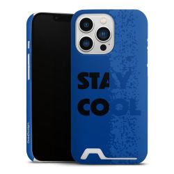 Premium Card Case matt