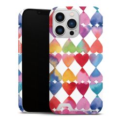 Premium Card Case matt