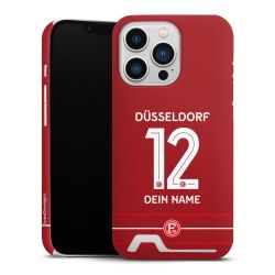 Premium Card Case matt