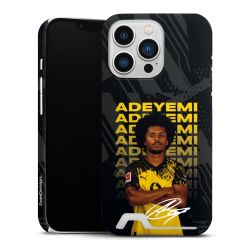 Premium Card Case matt