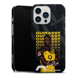 Premium Card Case matt