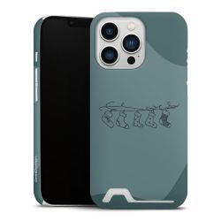 Premium Card Case matt