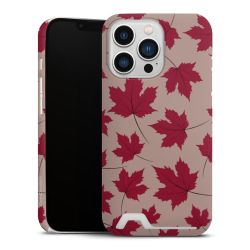 Premium Card Case matt