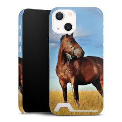 Premium Card Case glossy
