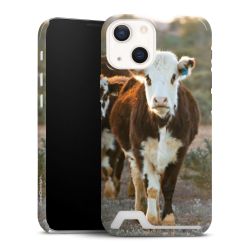 Premium Card Case glossy