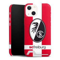 Premium Card Case glossy