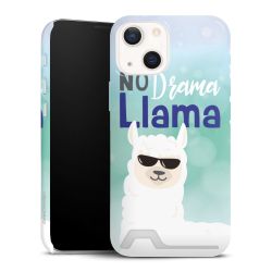 Premium Card Case glossy