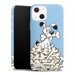 Premium Card Case glossy