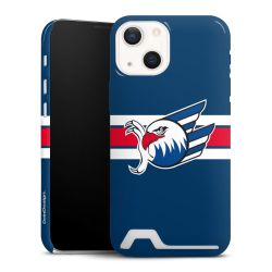 Premium Card Case glossy