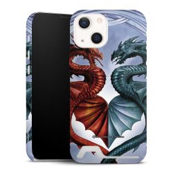 Premium Card Case glossy