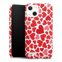 Premium Card Case glossy