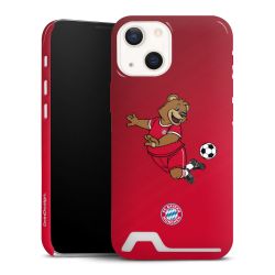 Premium Card Case glossy